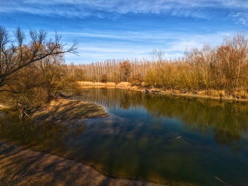 Free Beautiful riverside scene with calm waters and leafless trees reflecting a clear blue sky. Stock Photo