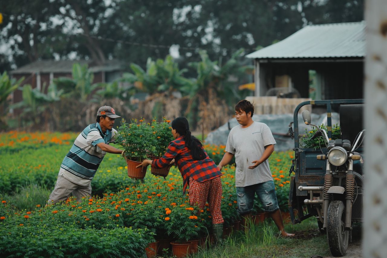 Migrant Agricultural Workers in Canada Report Exploitation and Abuse