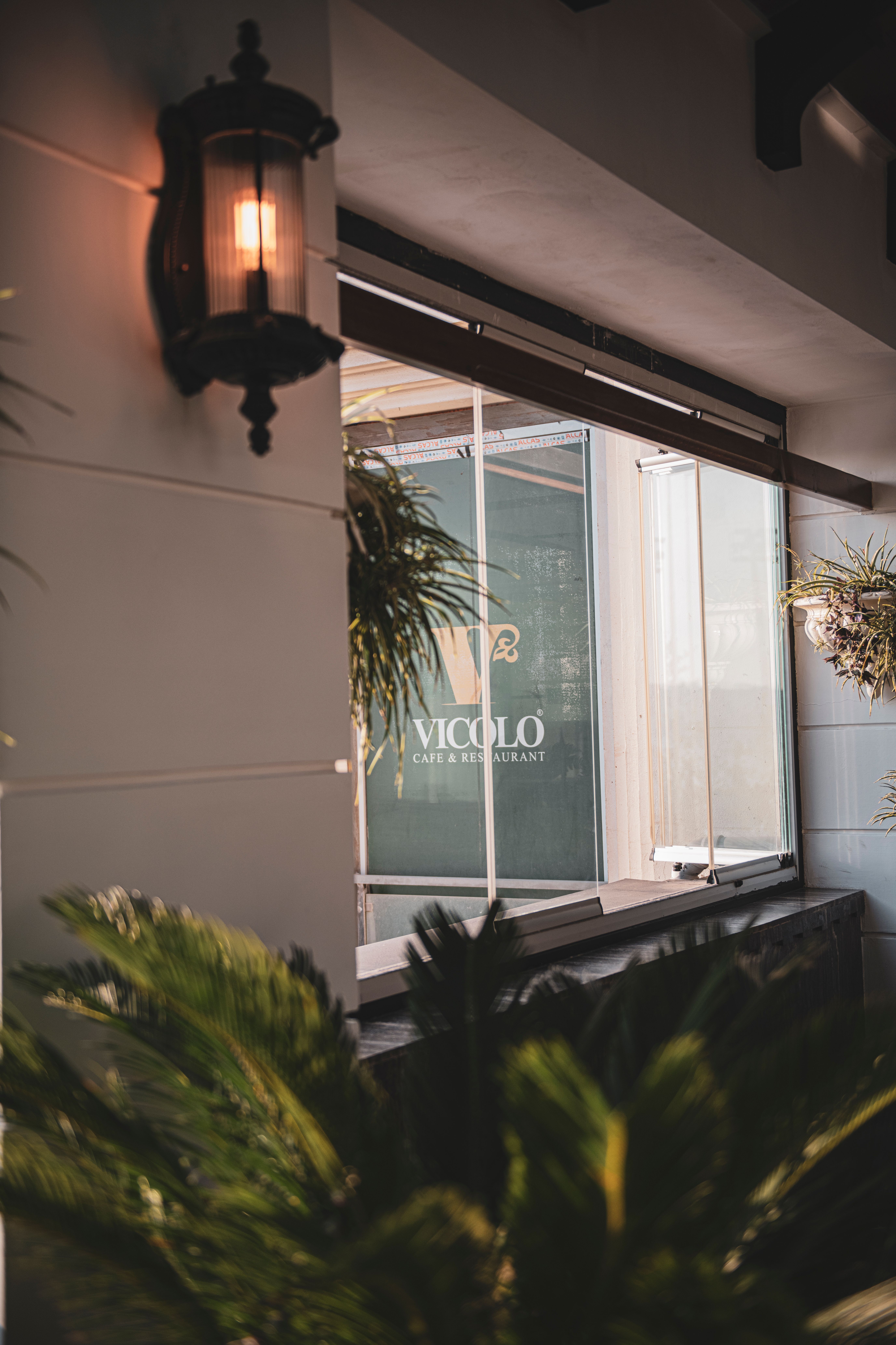 Warm and inviting café interior with lush plants and soft lighting.