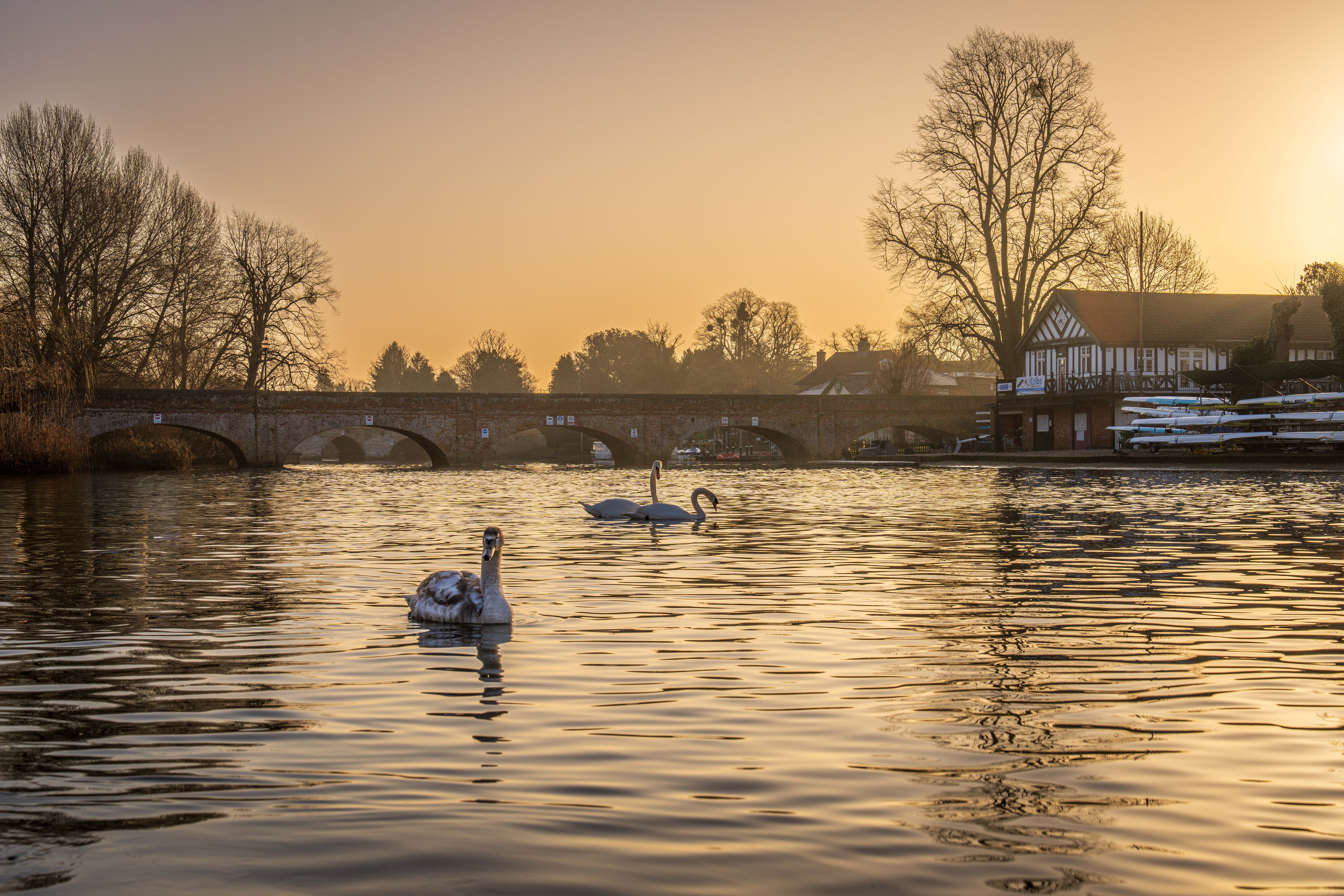 El puente de Henley y la torre de St Mary’s Church sobre el Támesis