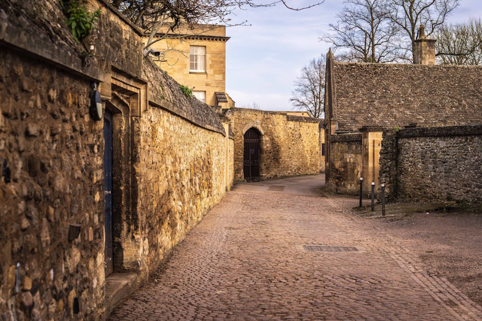 Old Town Triangle - chicago historic apartments for rent