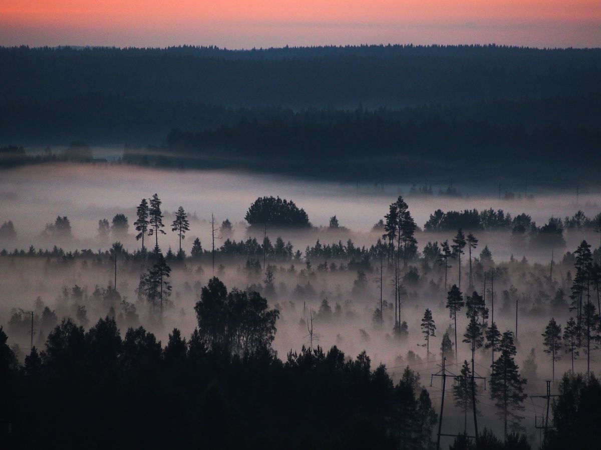 Răsărit cu ceață peste un peisaj de pădure finlandeză
