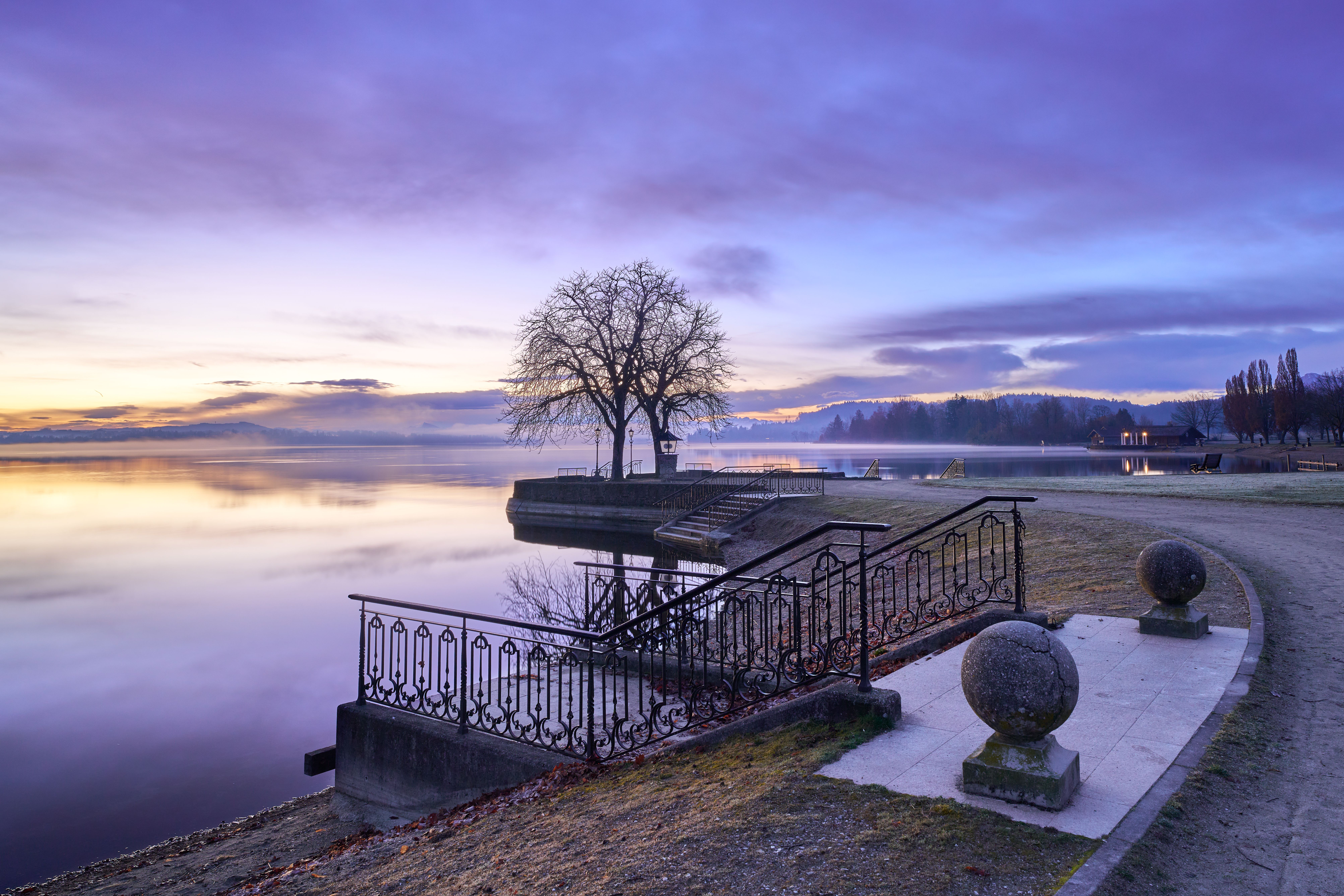 Tranquil dawn at Waging am See in Germany, showcasing a serene landscape with a solitary tree by the lake.