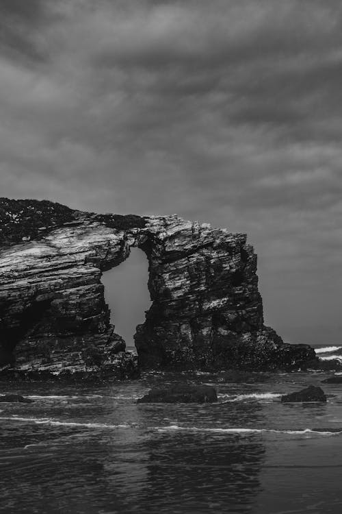 Photo Monochrome Du Rivage