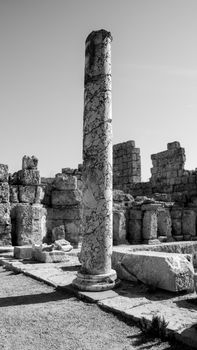 Black and white photo of ancient marble column among Roman ruins.