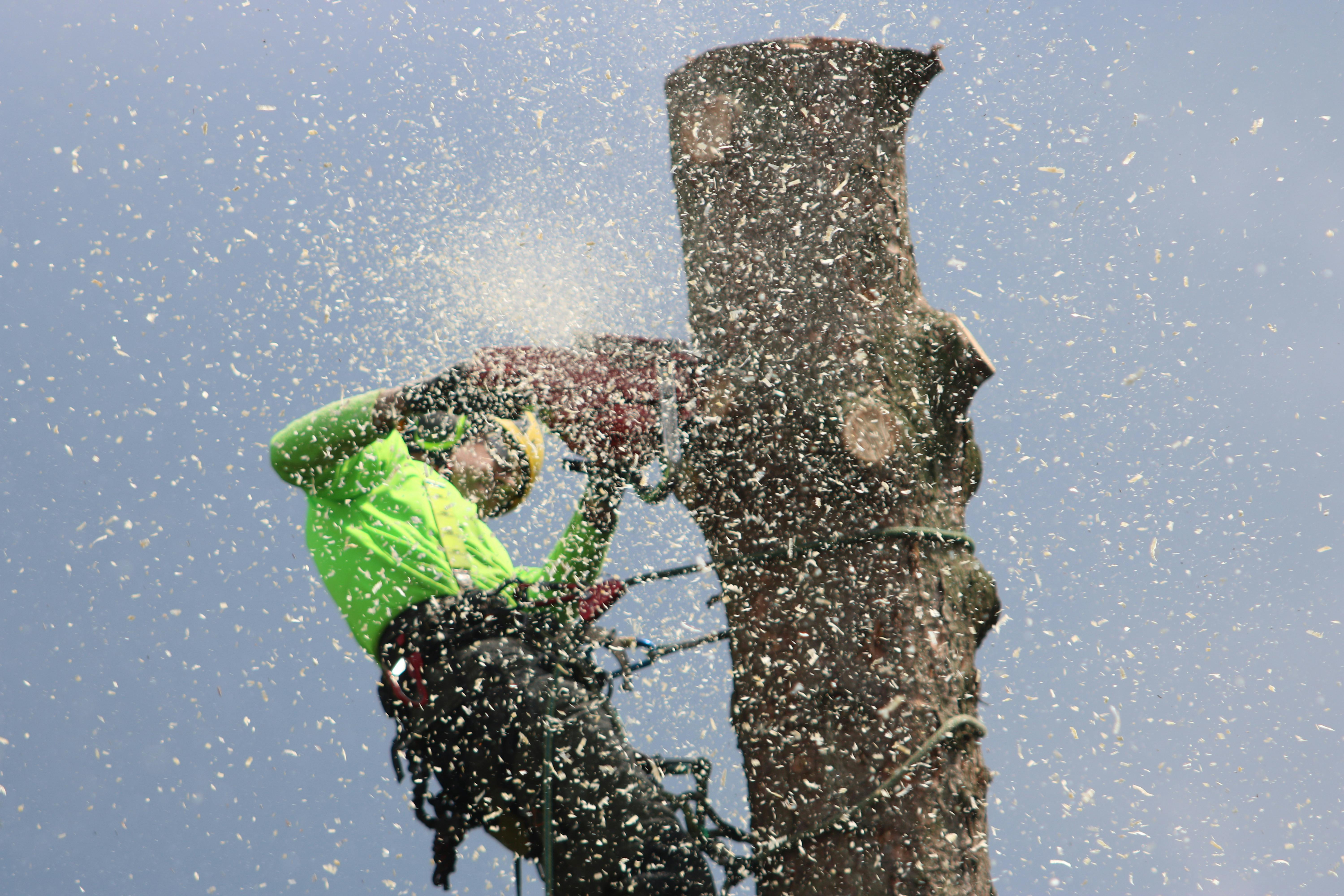 Professional arborist in high-visibility safety gear using a chainsaw to remove a large tree branch