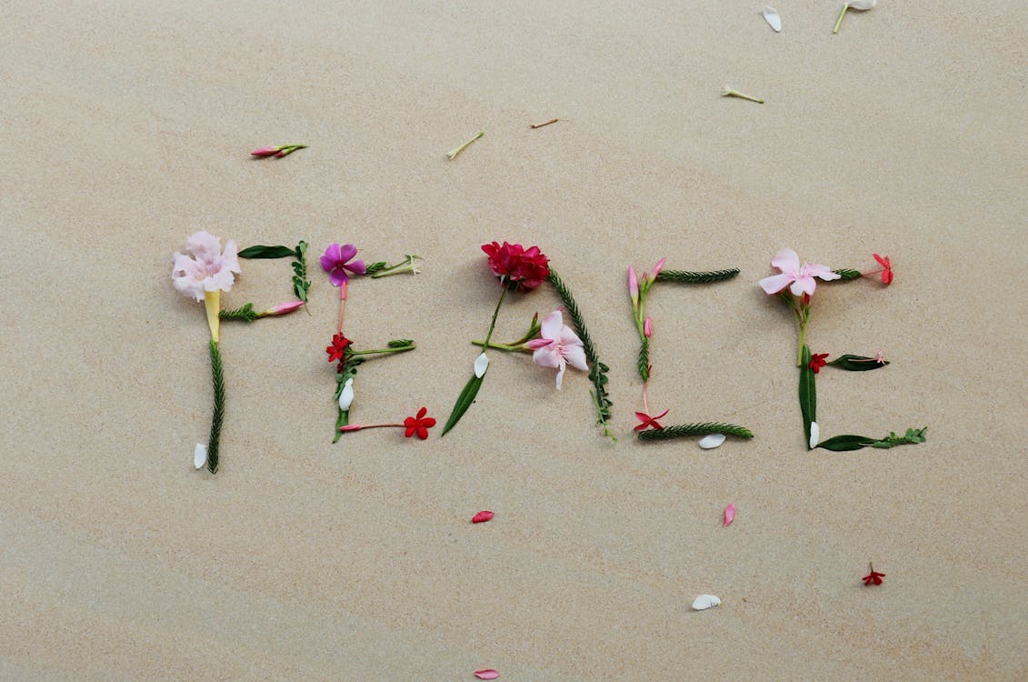 Top view of composition made of gentle flowers and stems in shape of word peace on sandy beach