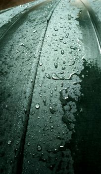 A detailed view of water droplets resting on a smooth green leaf, showcasing nature's beauty.