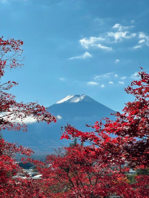 Mount Fuji seen through vibrant autumn foliage in Shizuoka, Japan, under a clear blue sky.