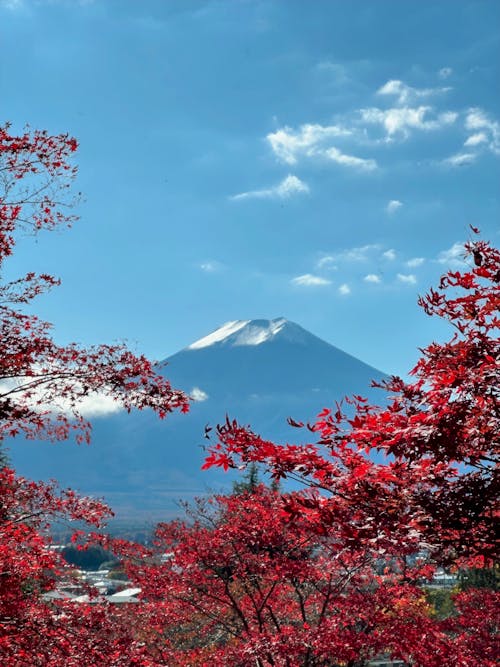 Mt. Fuji · Free Stock Photo Mt. Fuji · Free Stock Photo