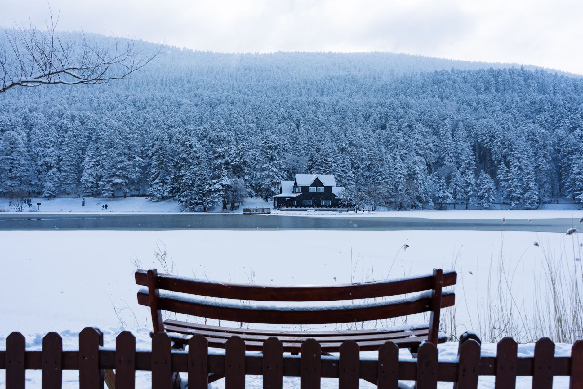 Snow-covered landscape at Lake Abant, Bolu, Türkiye, showcasing a serene winter scene.