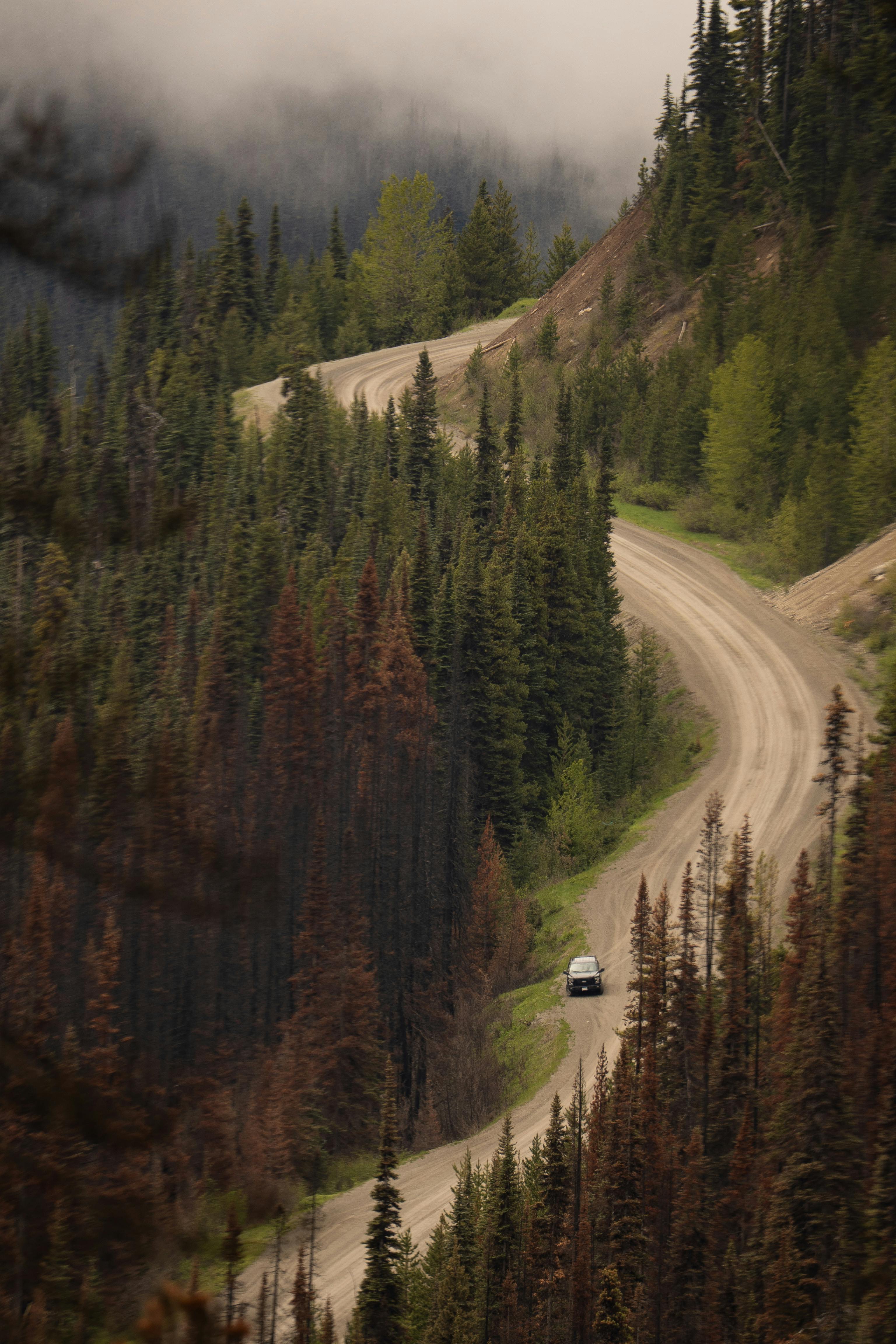 Vehicle driving on a winding mountain road surrounded by dense evergreen forests and misty skies.