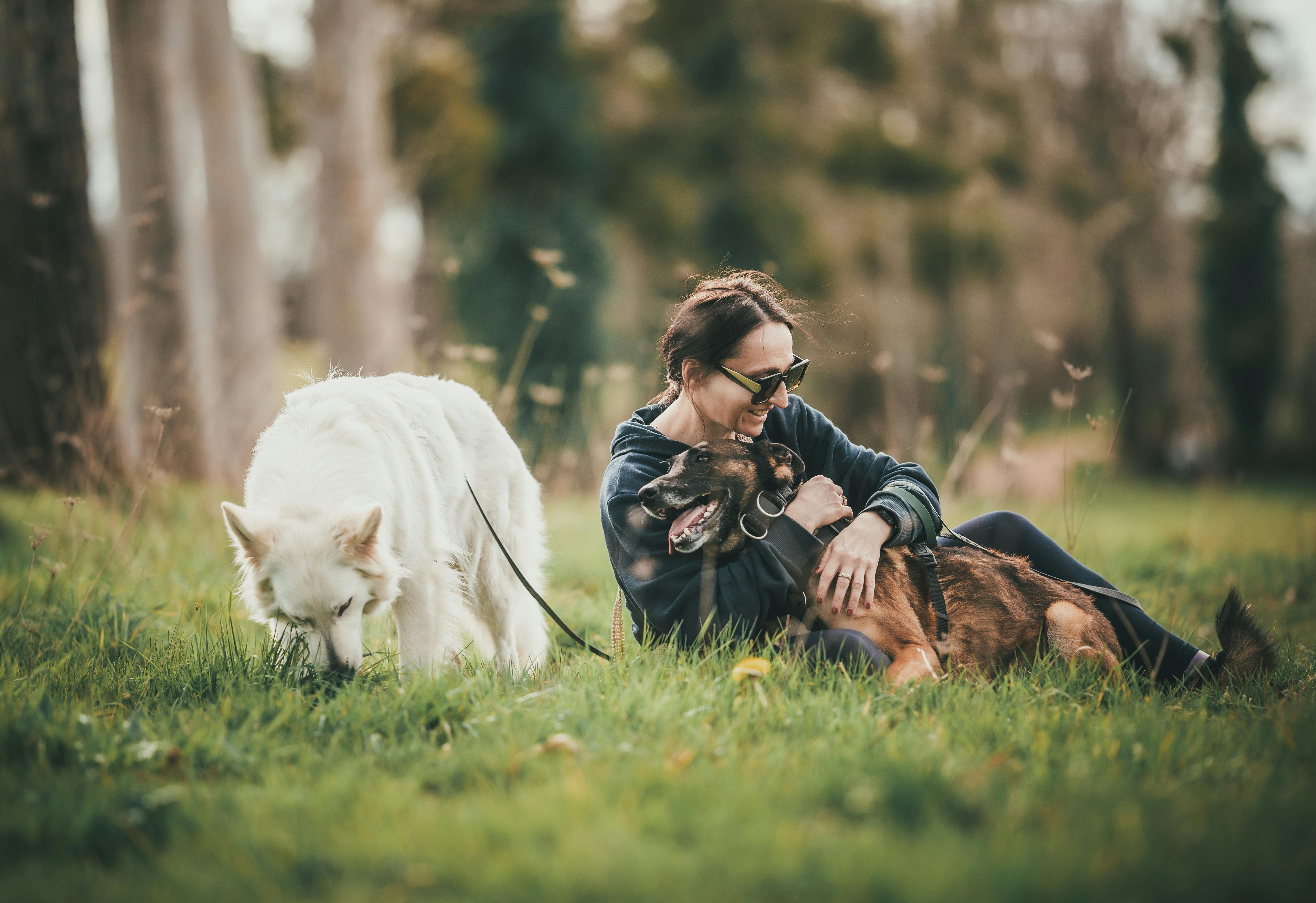 pet care, pet health, pet safety, pet grooming — Photo by Majkel Berger on Pexels