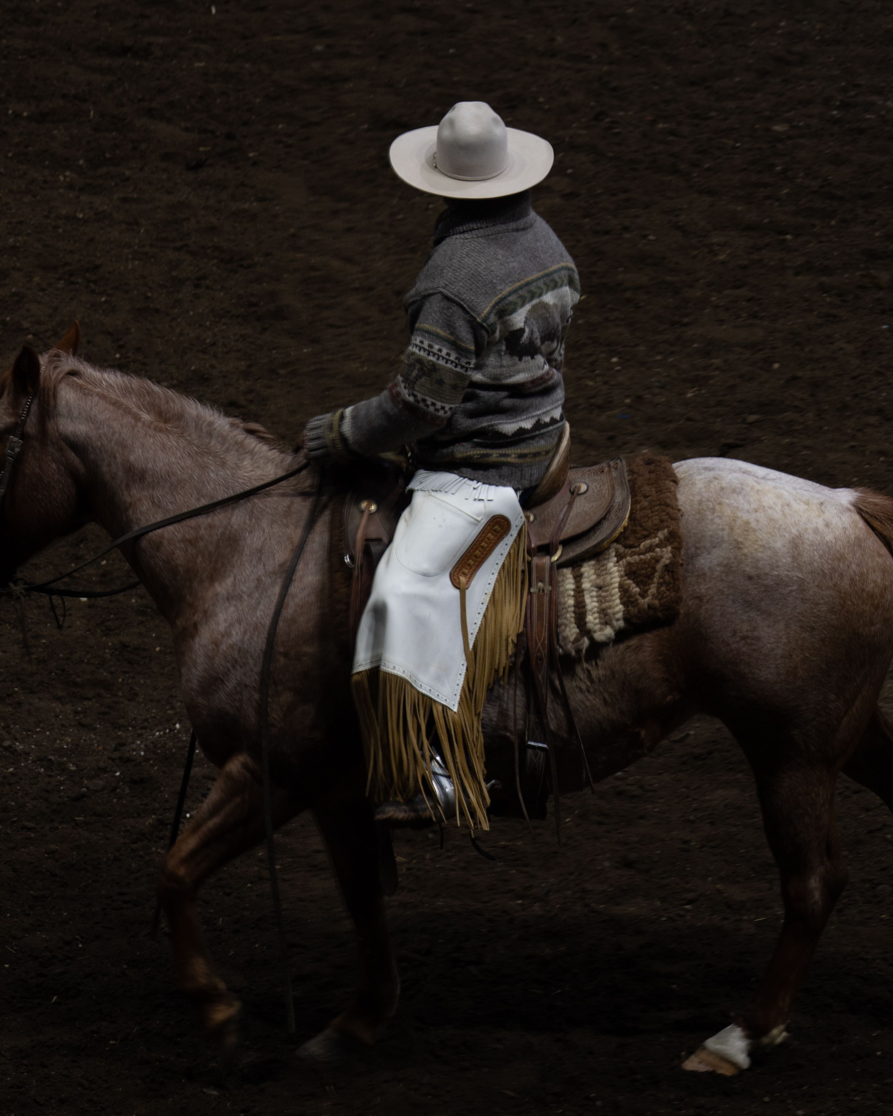Couverture de selle de cheval Selle anglaise équestre, cheval, cheval