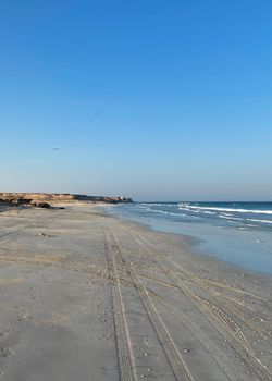 A serene beach landscape featuring tire tracks on the sand and a clear blue sky.