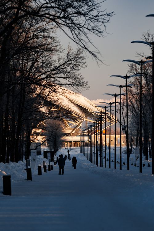 Free A snowy path with people leading to a modern architectural building on a winter day. Stock Photo