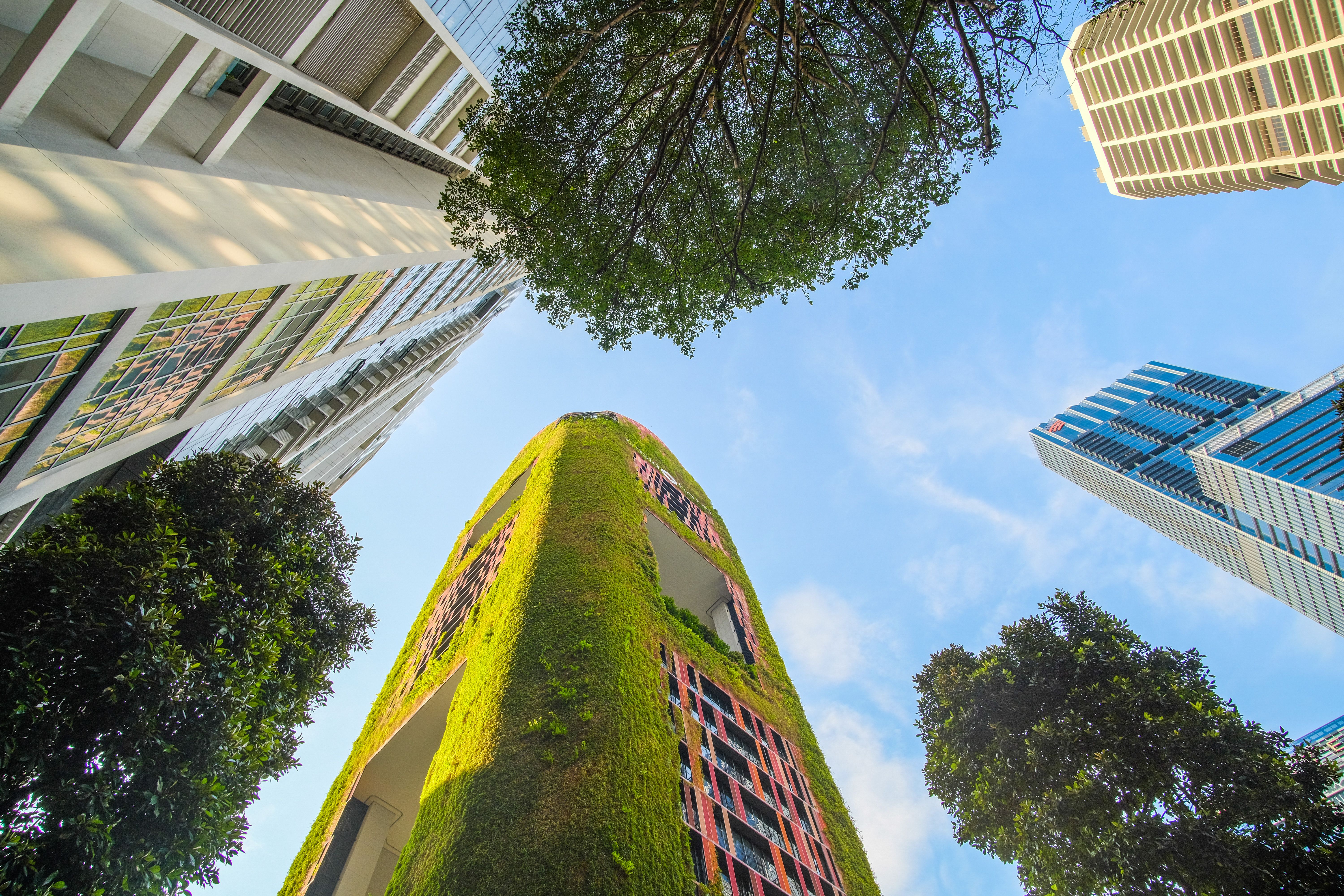 Sustainable Urban Architecture with Vertical Garden · Free Stock Photo
