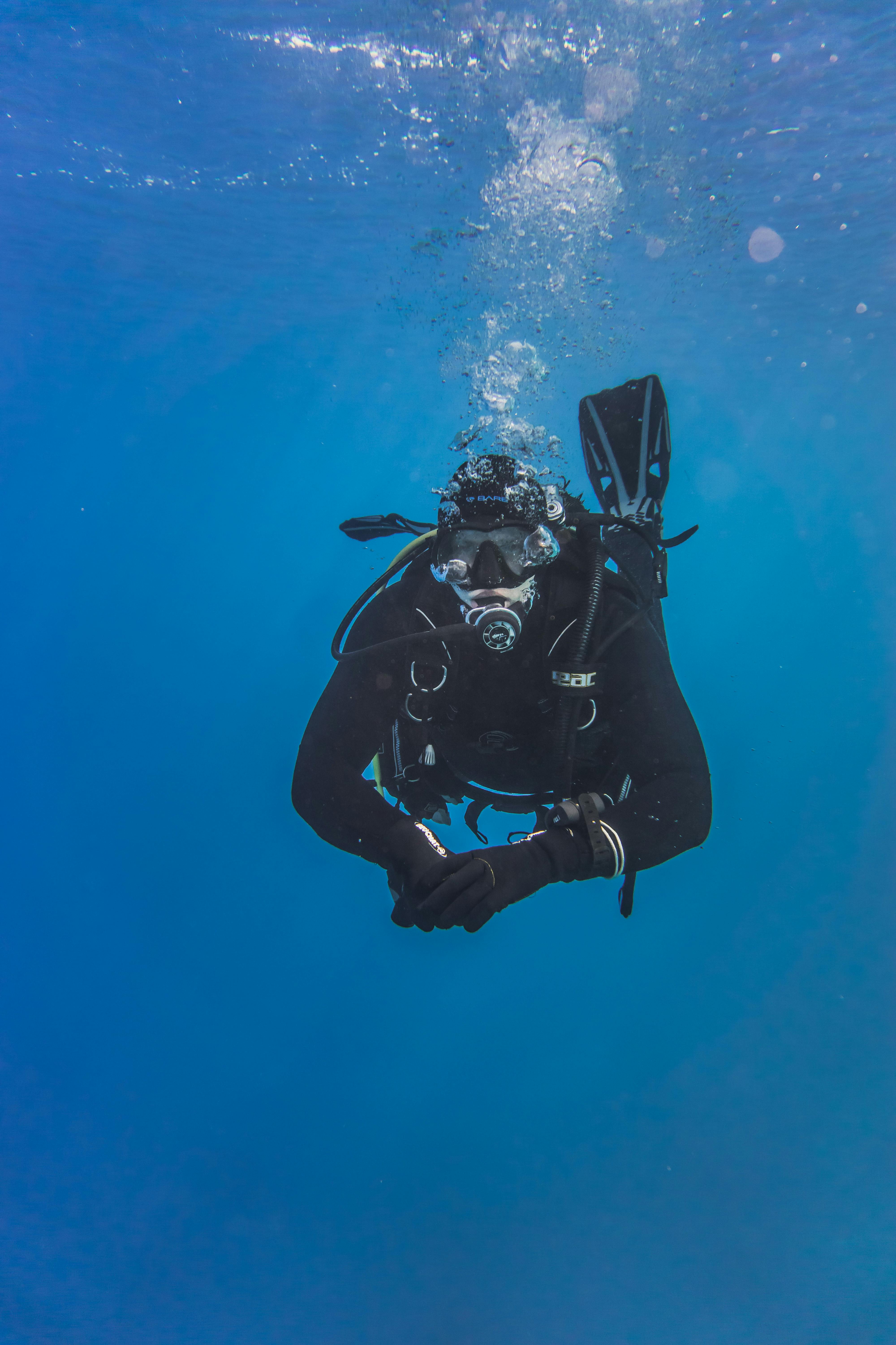Scuba Diver Under Water · Free Stock Photo
