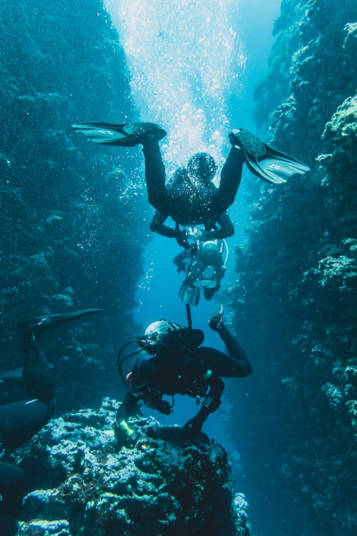 Free Scuba divers exploring a vibrant coral reef canyon, filled with marine life and bubbles. Stock Photo