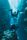 scuba diving