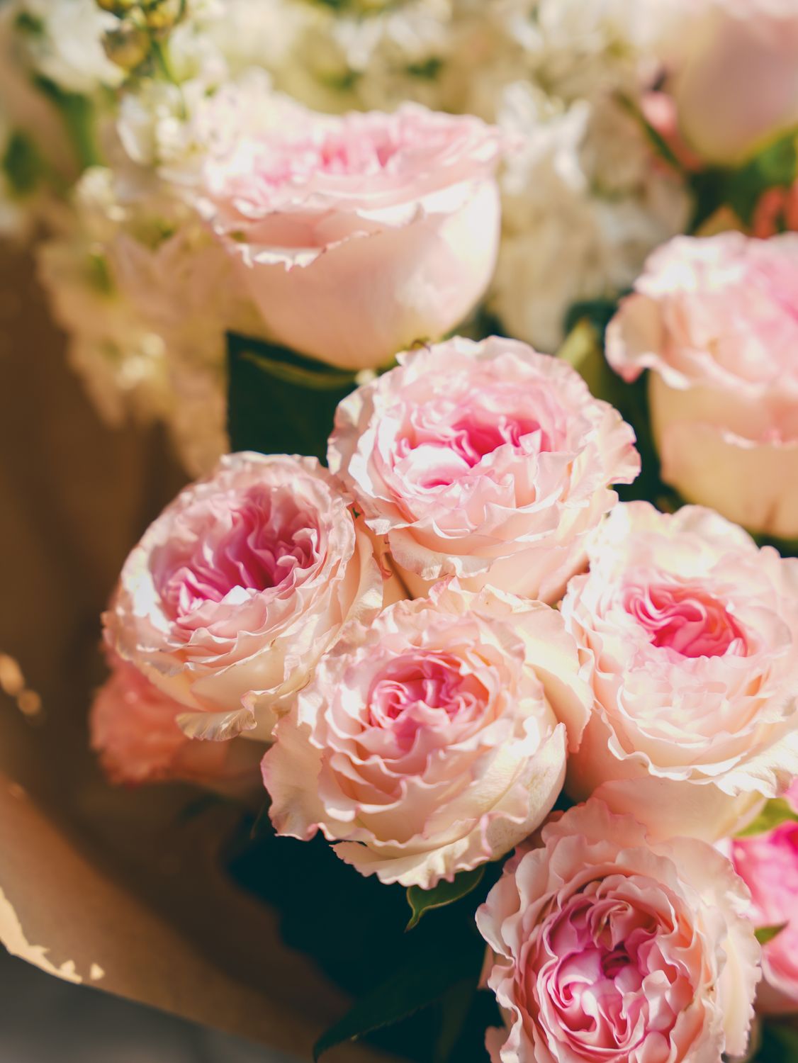 Eleant Roses Elegant Pink Roses in a Soft Bouquet · Free Stock Photo
