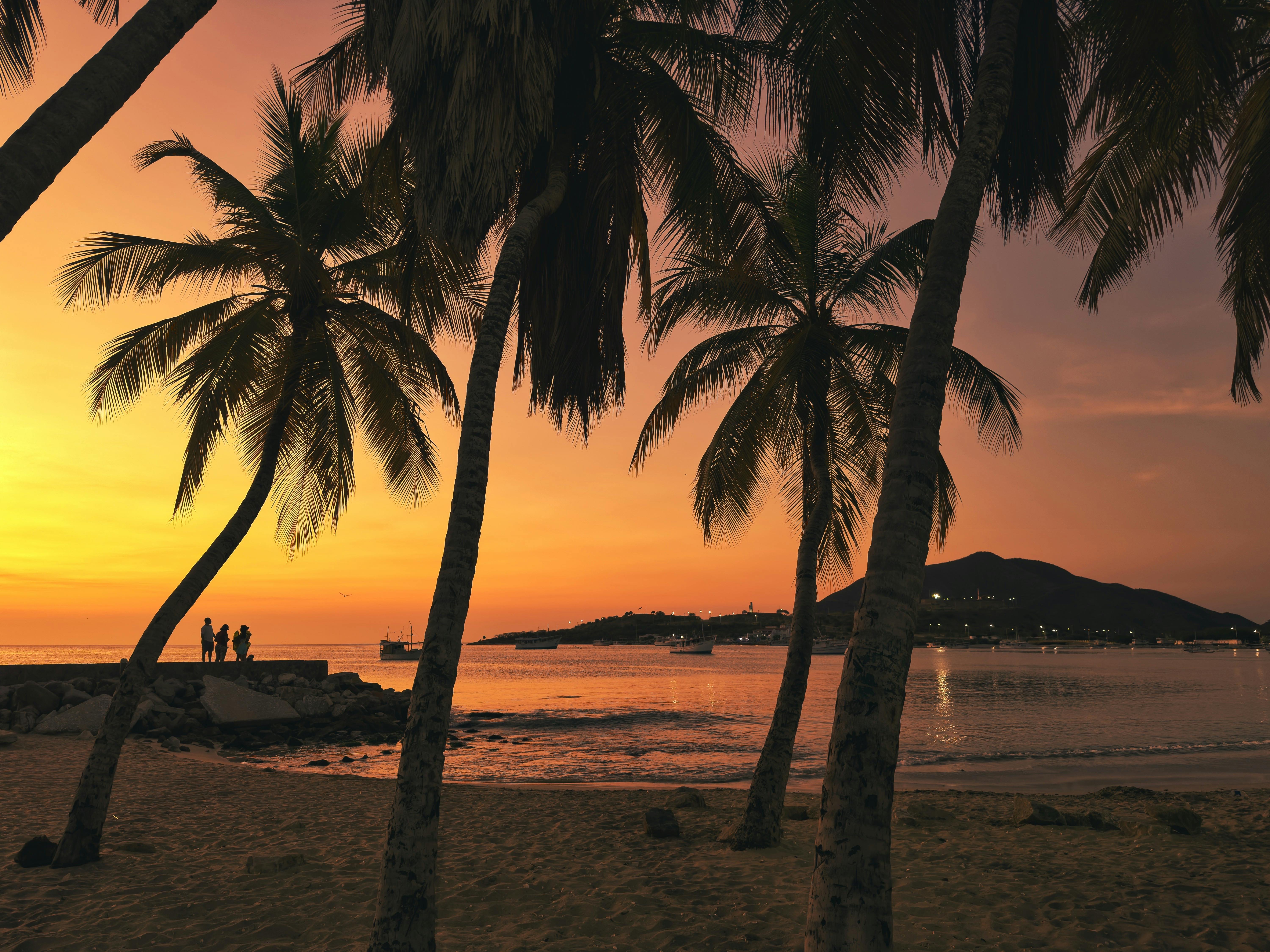 MND Local: How Los Cabos is positioning itself as a ‘second stop’ destination for World Cup travelers — Photo by Fiodor Ivano