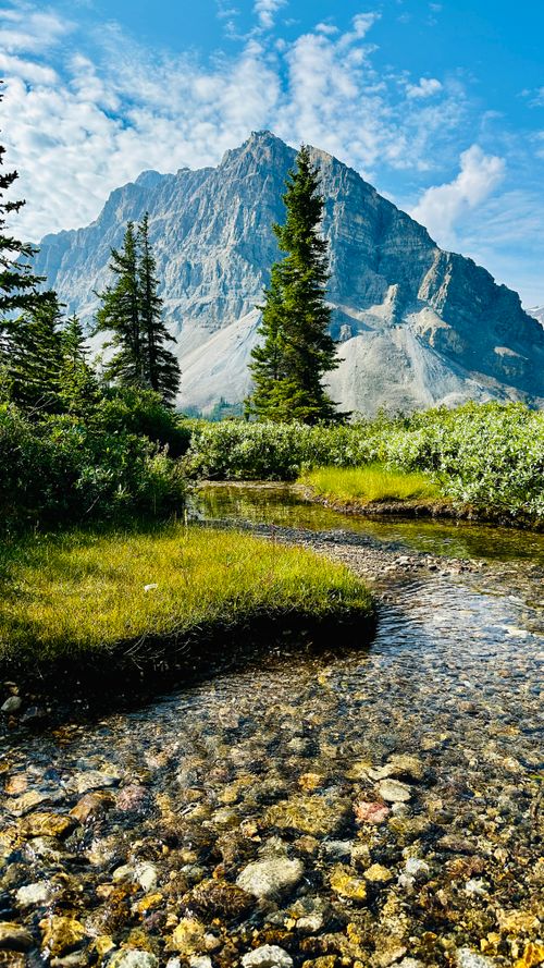 Free Idyllic mountain landscape featuring a serene stream and lush greenery. Stock Photo