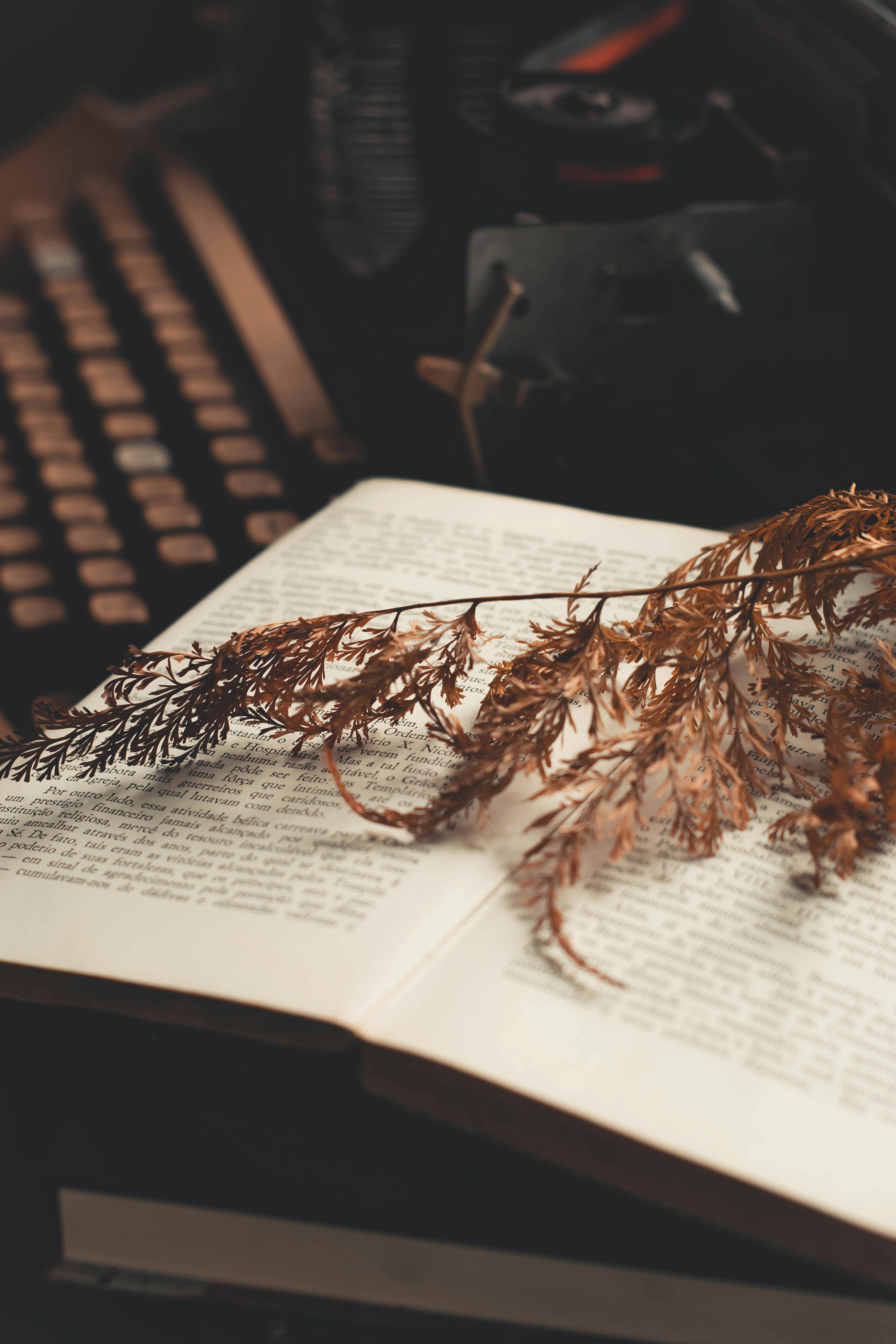 Dry Leaf On Book · Free Stock Photo