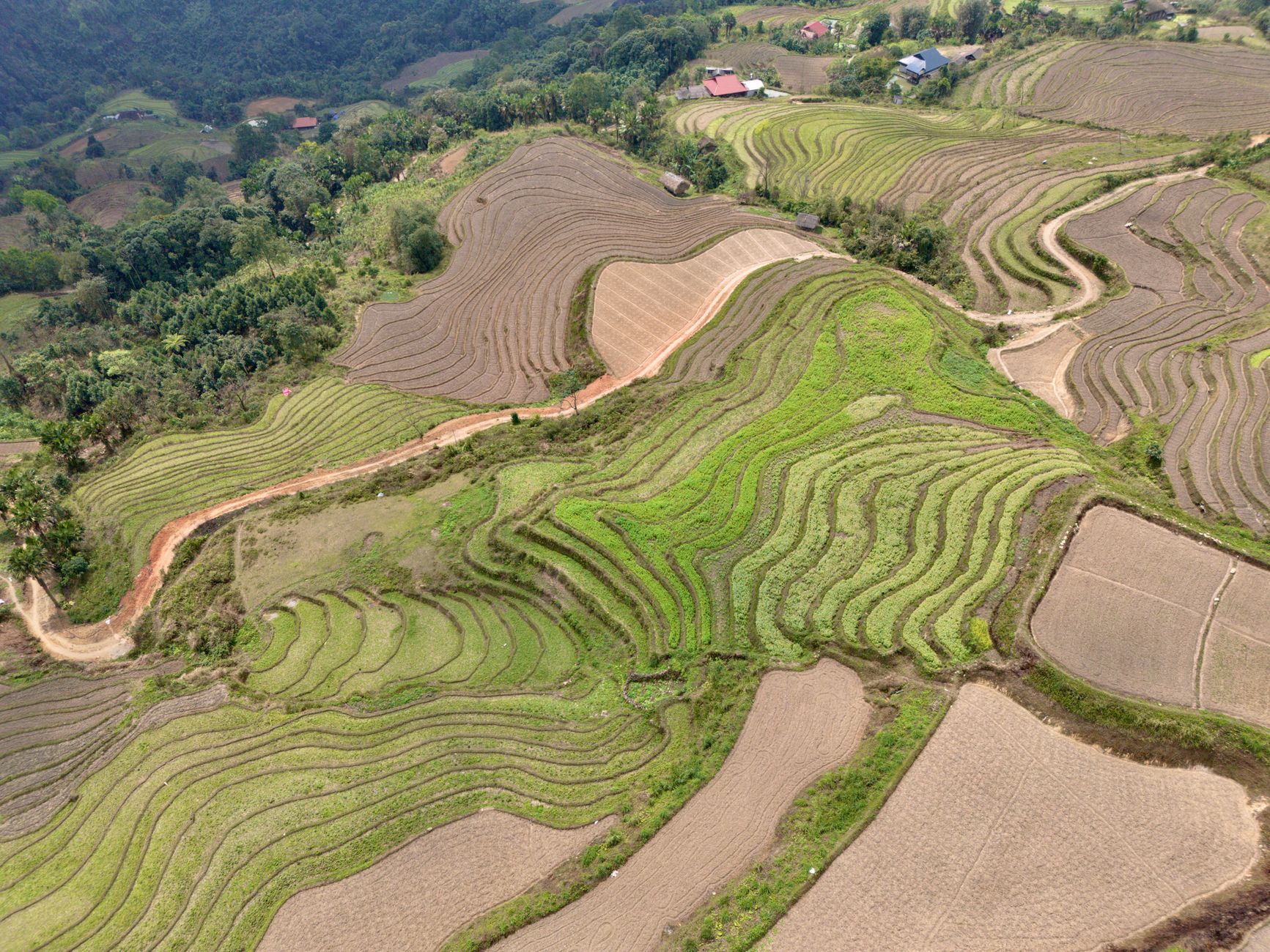 Impresionante toma aérea de vibrantes terrazas de arroz en Ha Giang, Vietnam.