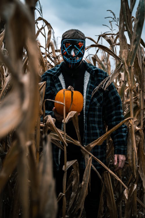 Zdjęcie Człowieka Stojącego W Pobliżu Roślin Kukurydzy