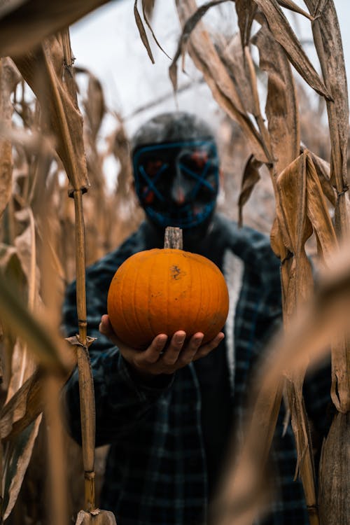 Person Wearing Mask Holding Orange Pumpkin