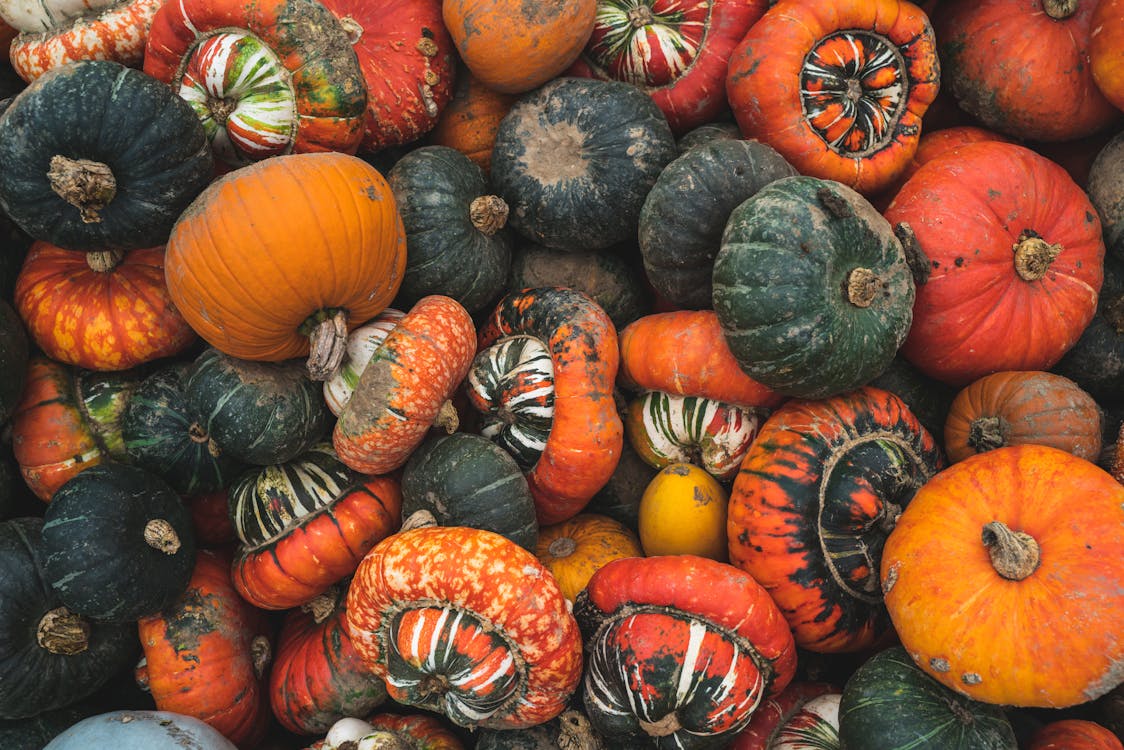 Close-Up Photo Of Pumpkins