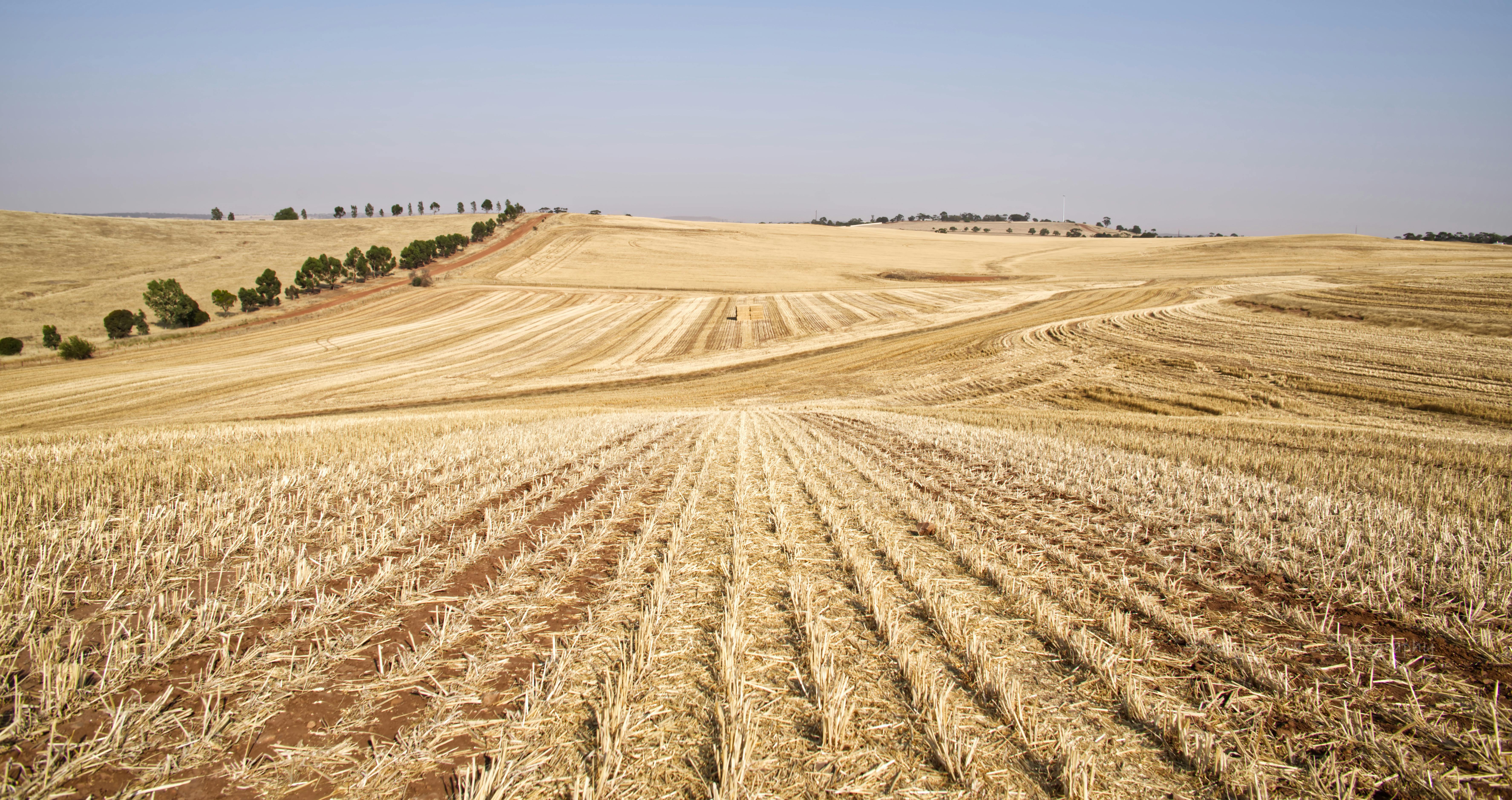 Biofarm insights image