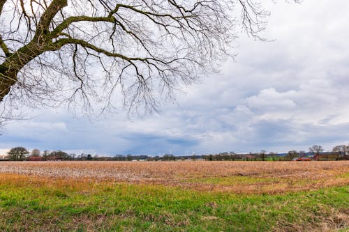 Surprise Warmth Hits Central and Northern Plains — 20–30° Above Avg