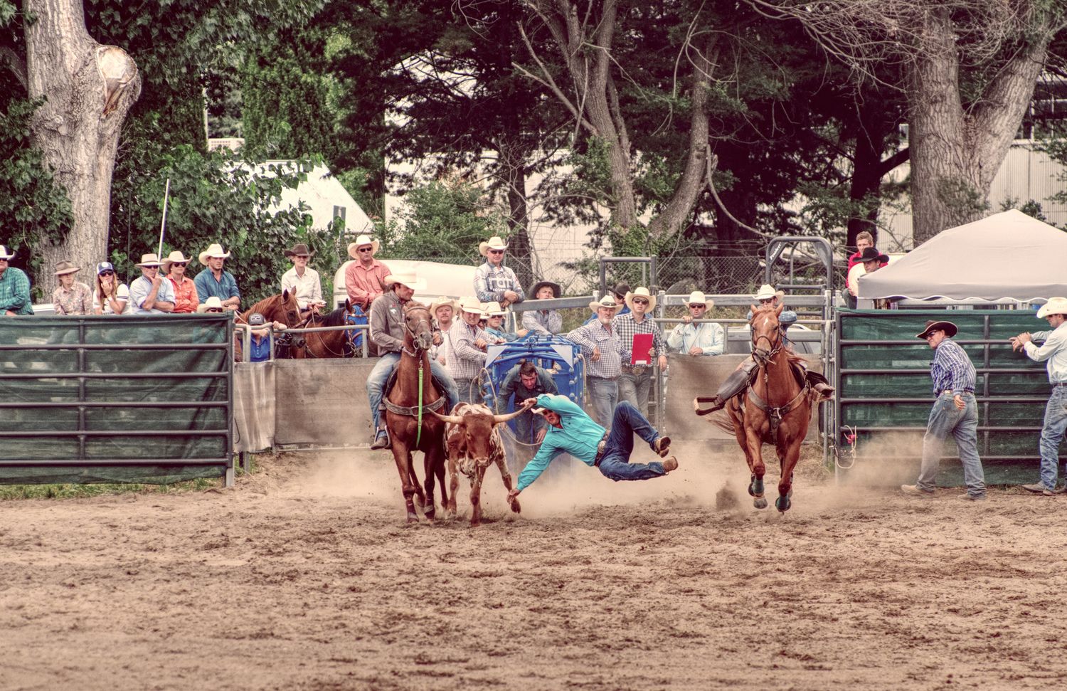 Rodeo Scene Photos, Download The BEST Free Rodeo Scene Stock Photos ...