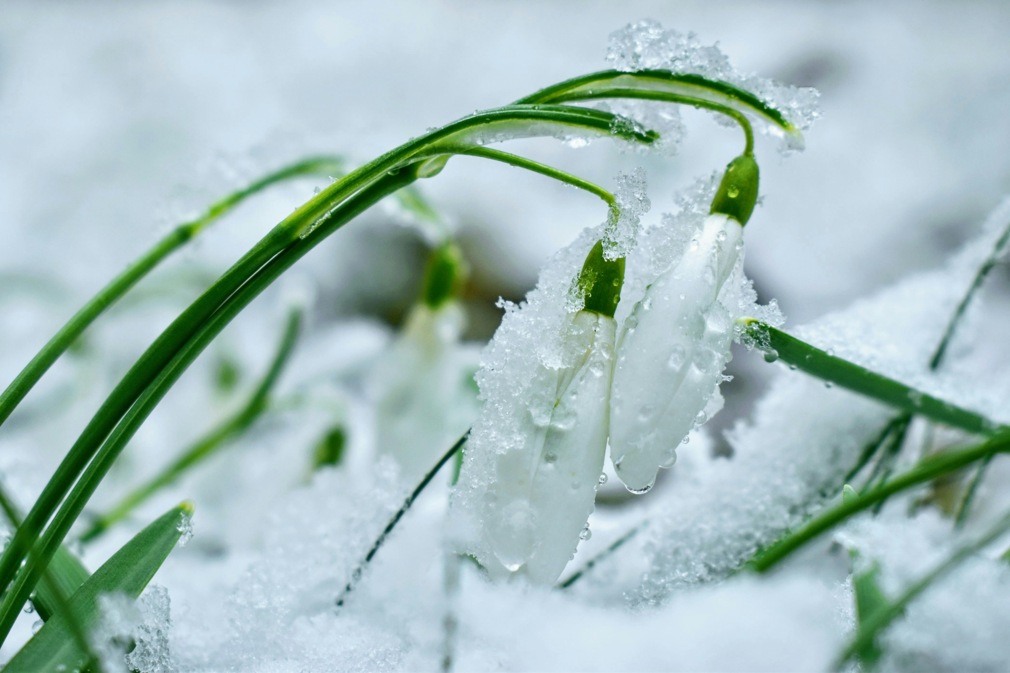 Climate Change Adaptation and Resilience Plan — Photo by hejpetrpepa  Pepa on Pexels