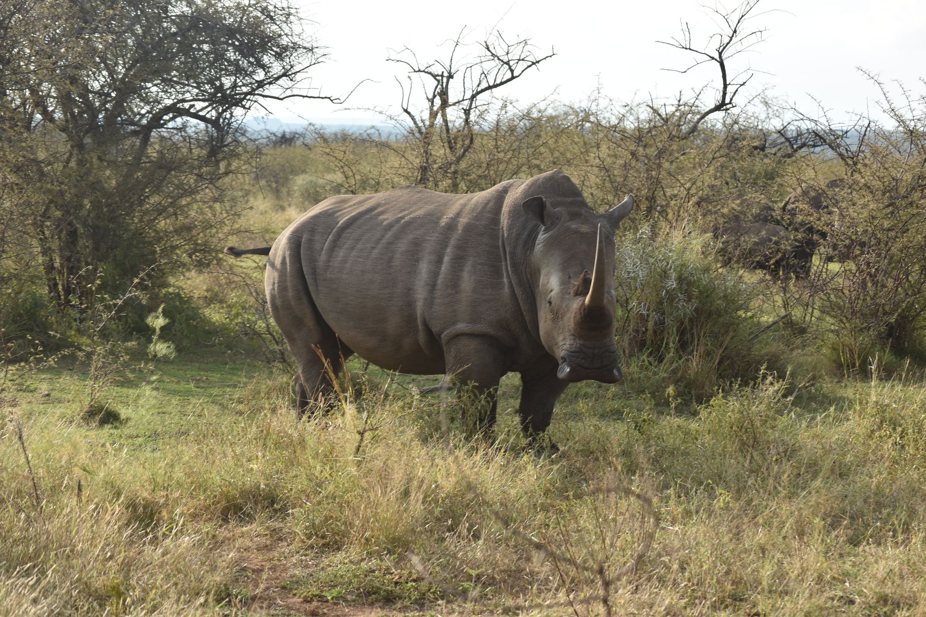 Discover The Ultimate All Inclusive Tanzania Safari Experience
