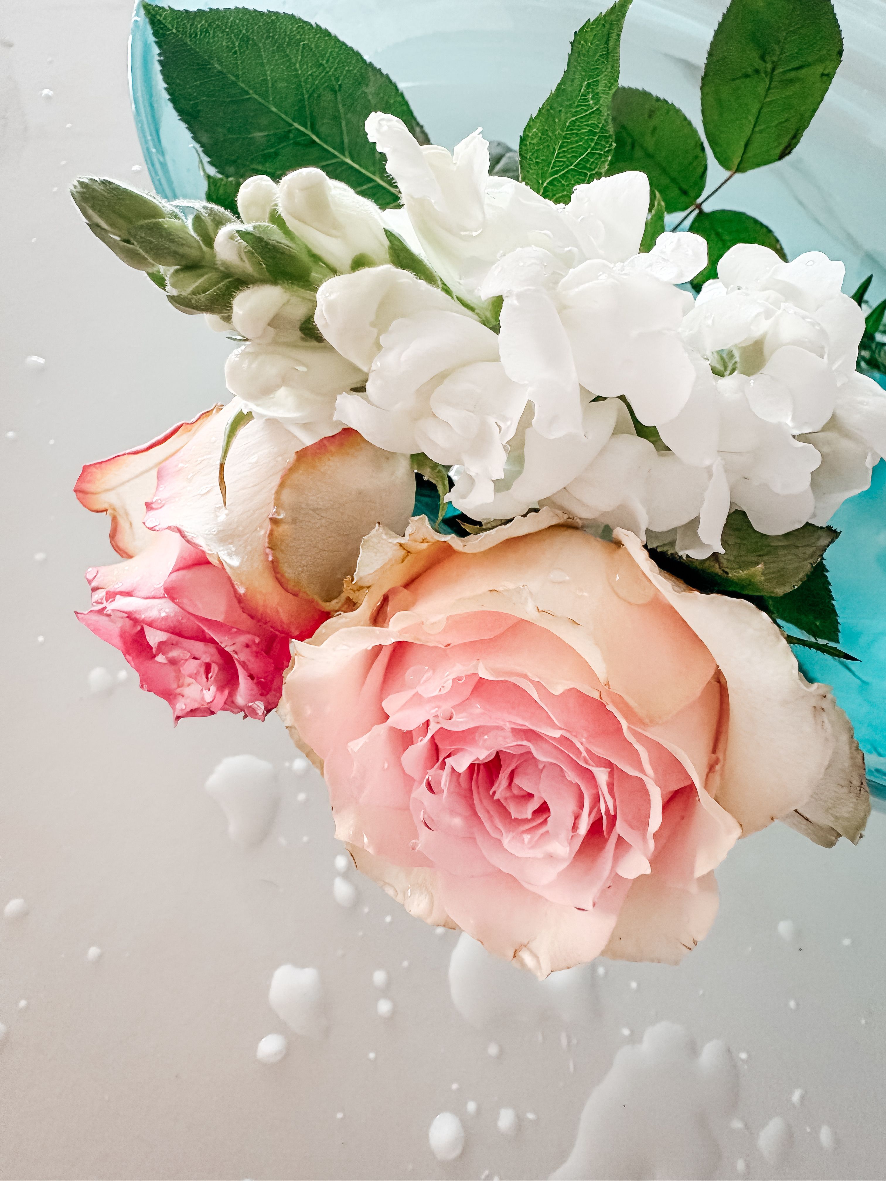 Close-up of pink roses with white stock flowers on a light background, perfect for floral design.