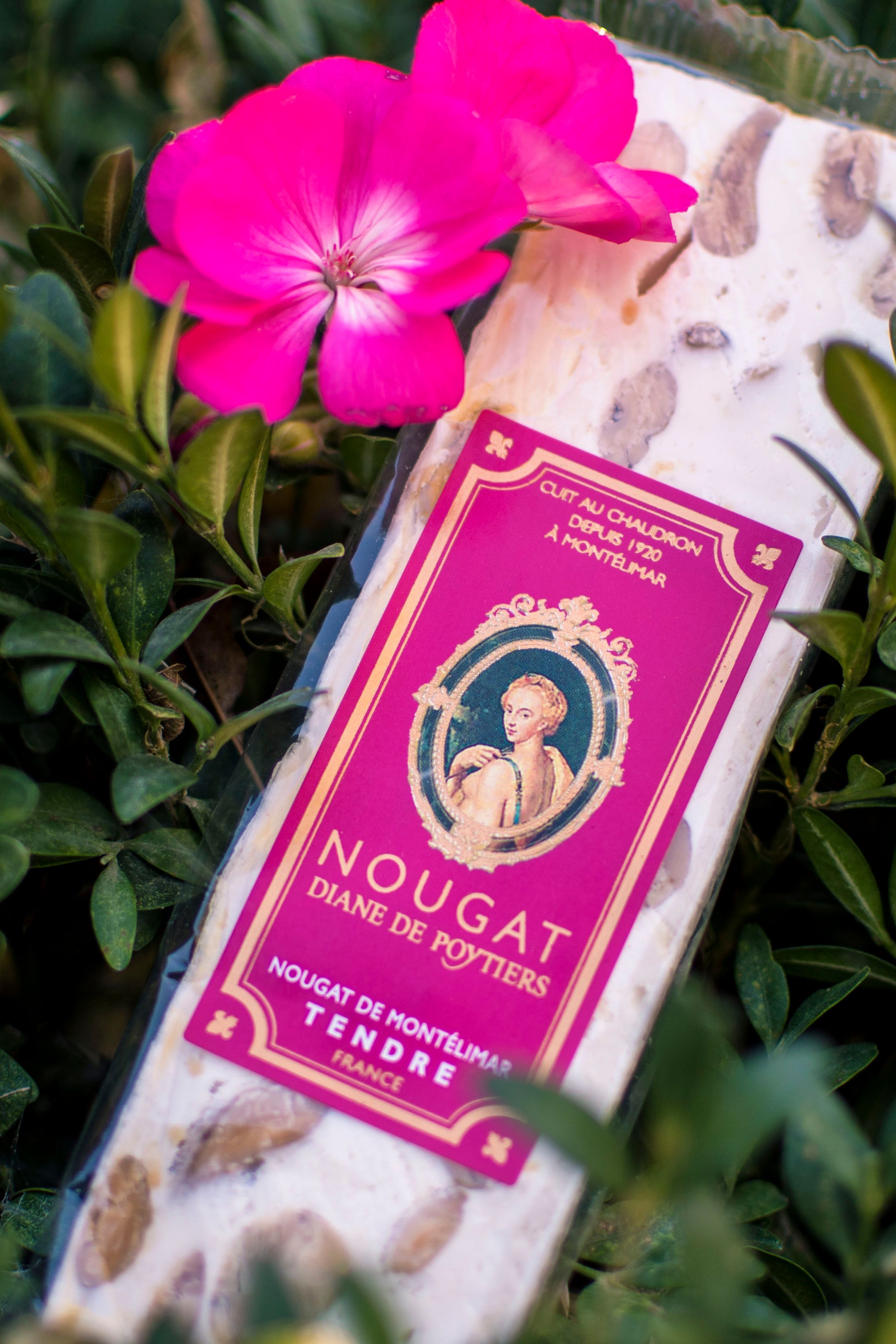 Nougat de Montélimar with vibrant flower and greenery in Montélimar, France.