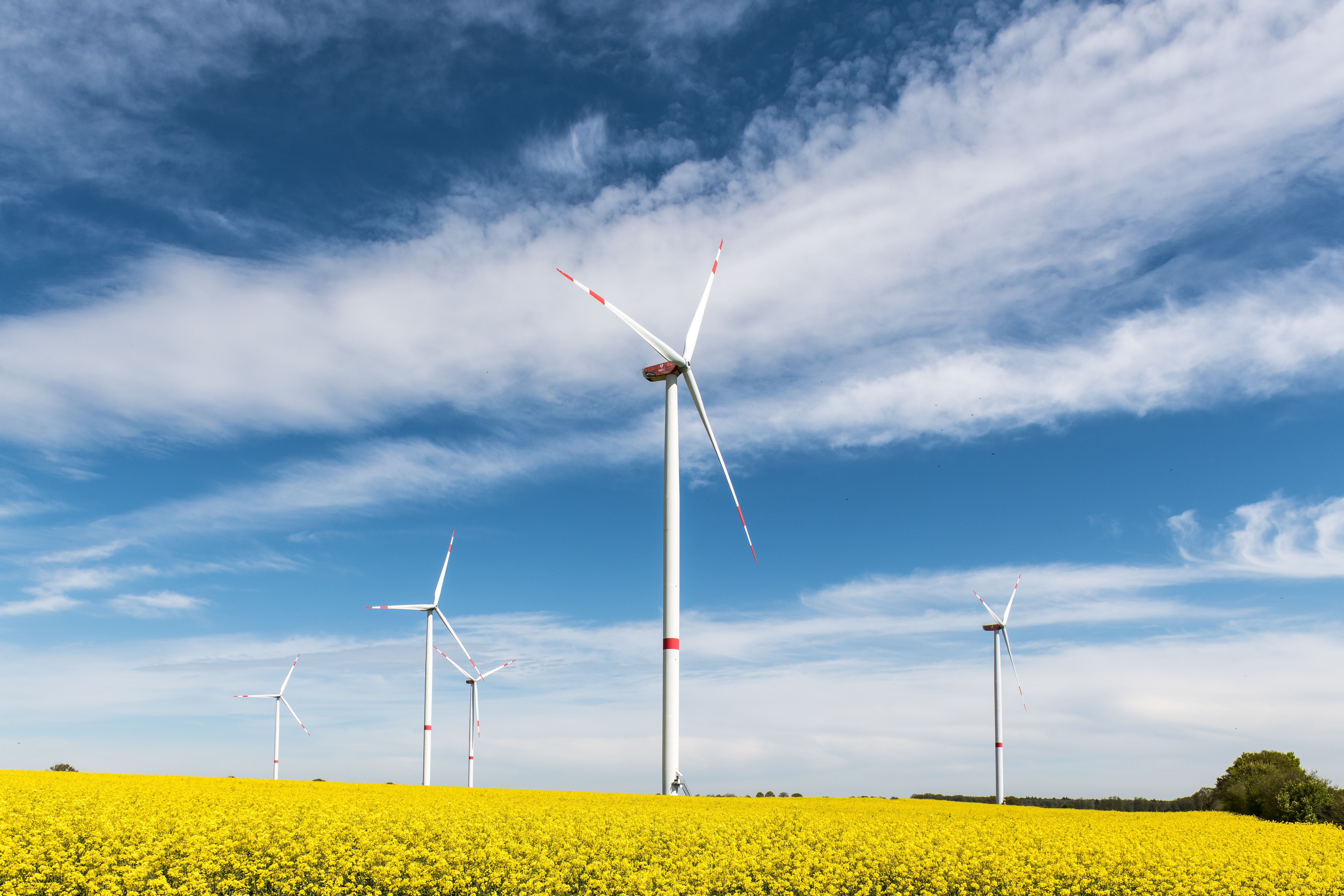7 Benefits of Renewable Energy Use — Photo by Wolfgang Weiser on Pexels