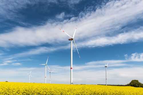 Free Scenic view of wind turbines surrounded by a vibrant rapeseed field in spring, under a clear blue sky. Stock Photo