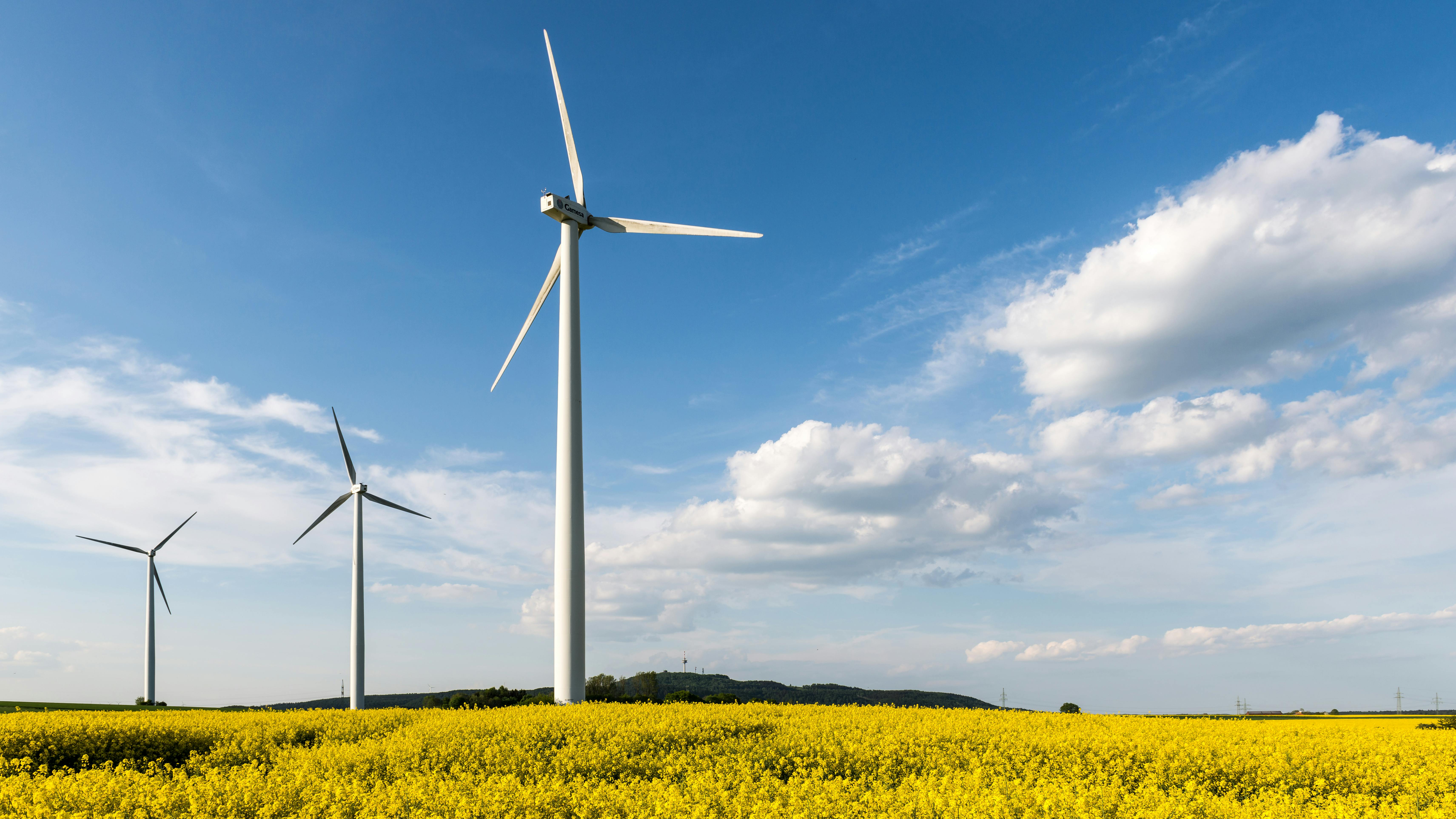 Idyllic view of wind turbines amidst a vibrant rapeseed field under a clear spring sky in Höxter.
