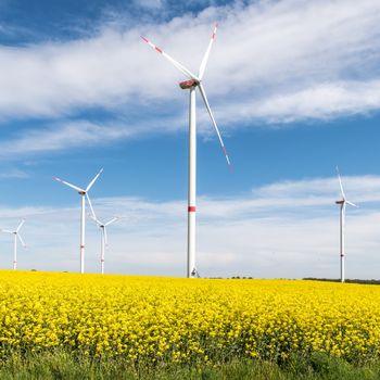 Partnering with Reputable Energy Brands