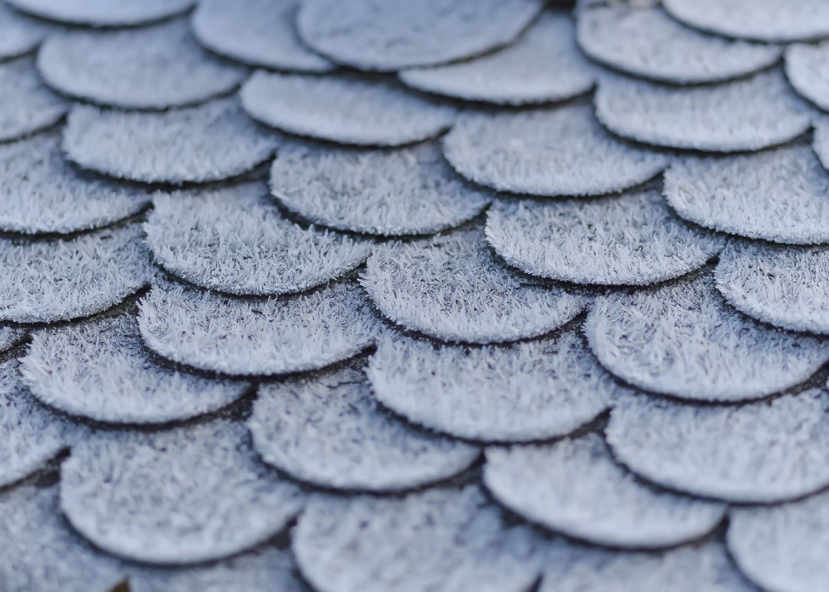 Frost on newly installed asphalt shingles
