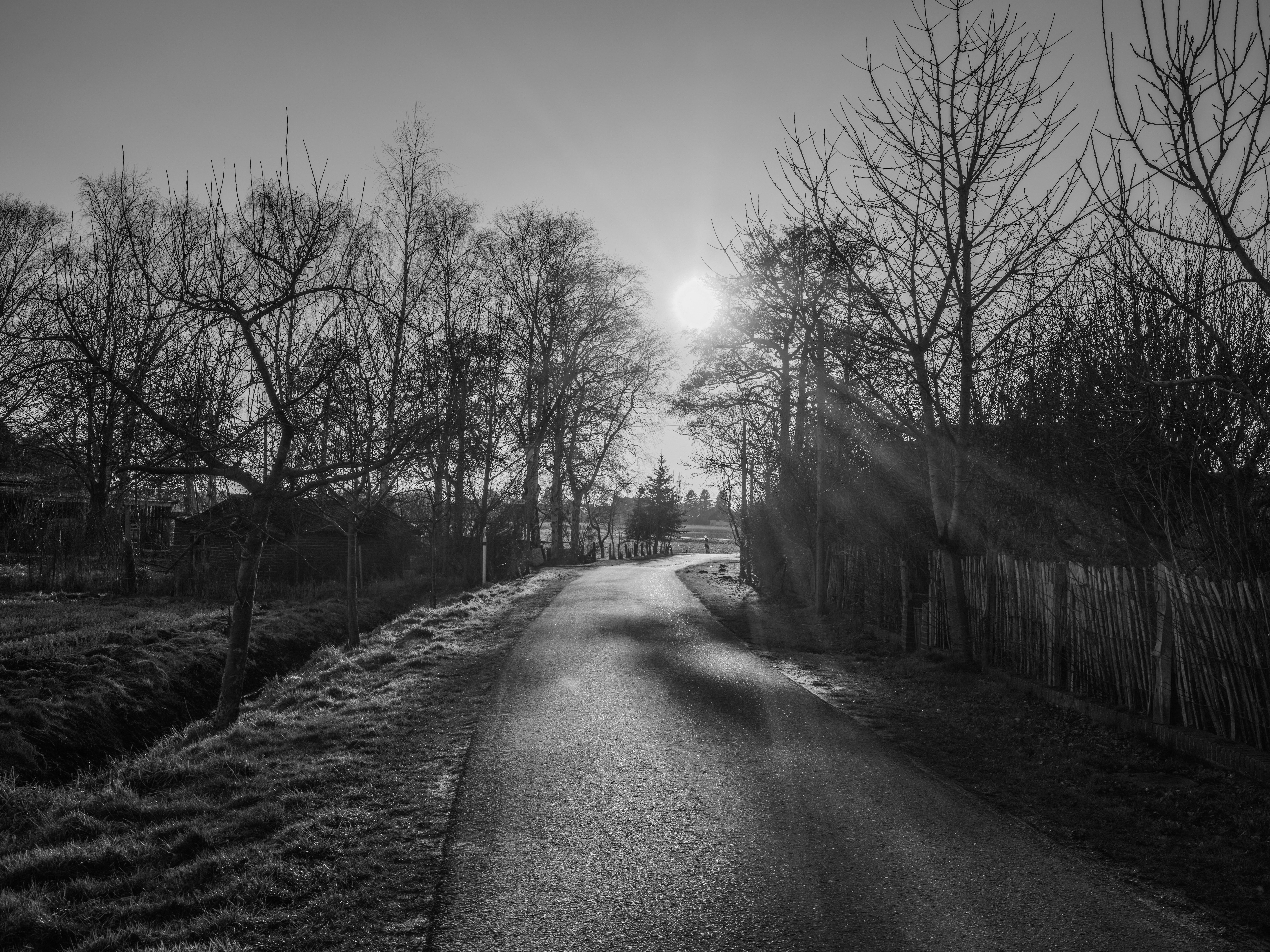 Black and white sun is shining - Vistarkriya Blog