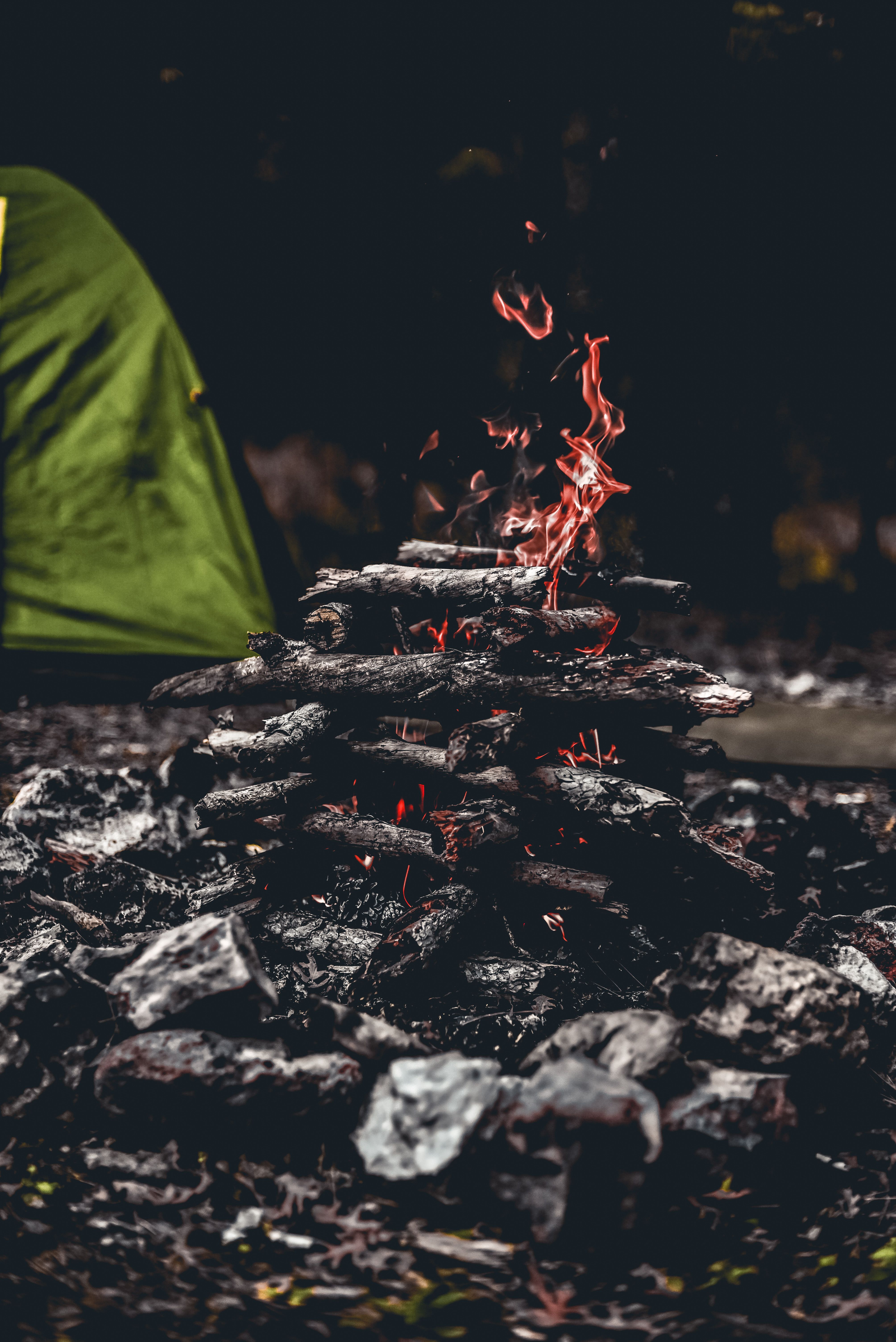 A serene campfire with glowing embers and surrounding greenery in Eskişehir, Türkiye.