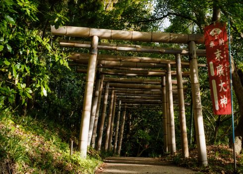 Arashiyama bamboo and Tenryu-ji walk — Kyoto