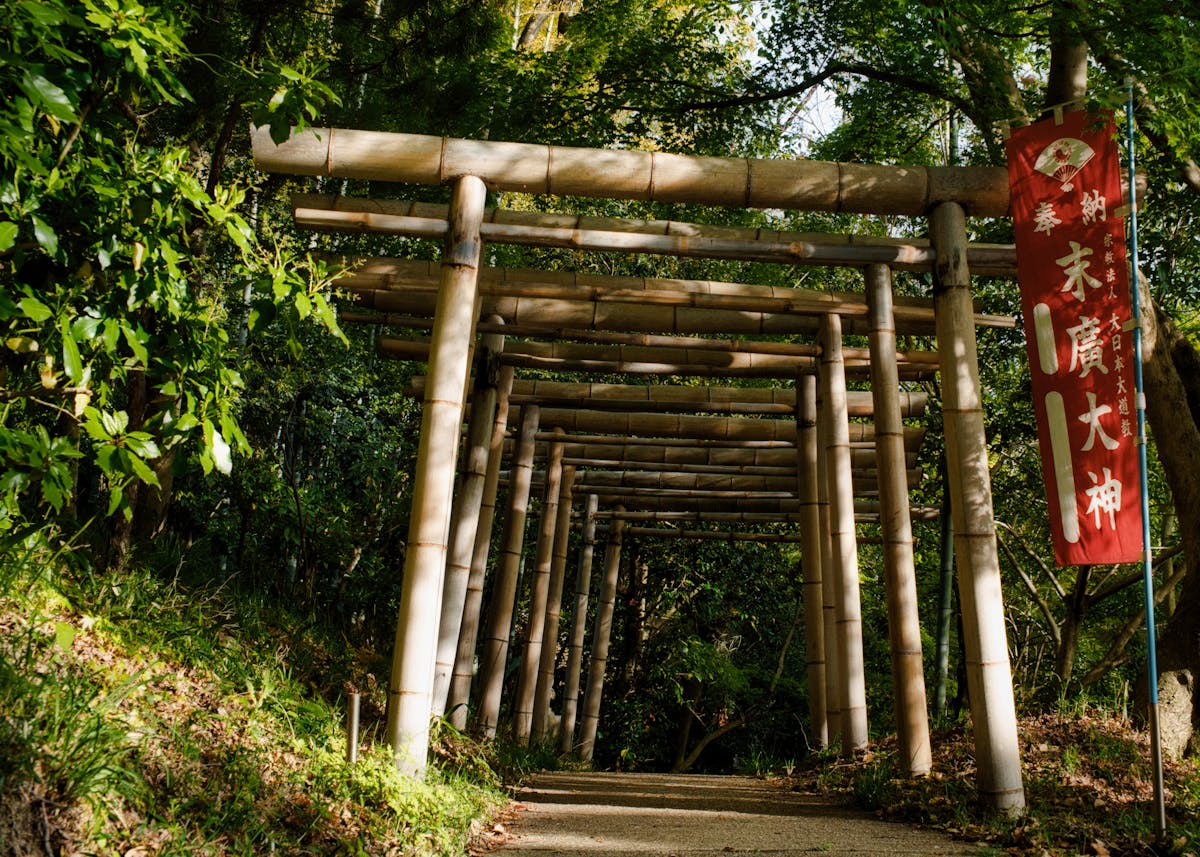 serene Path Through Torii Gates in Kyoto