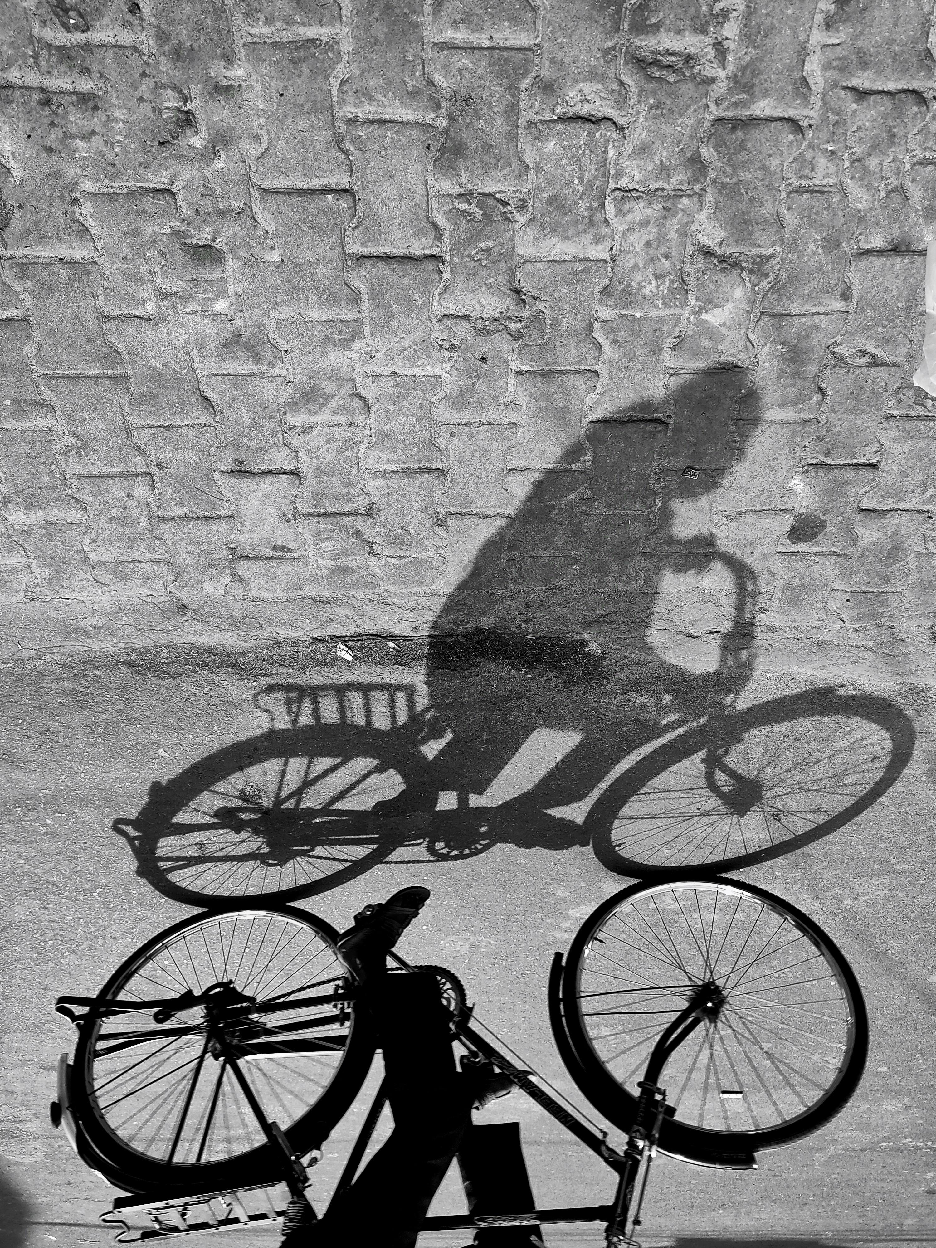 Person's Shadow Riding Bicycle · Free Stock Photo