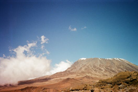Volcanoes National Park, Rwanda photo 11